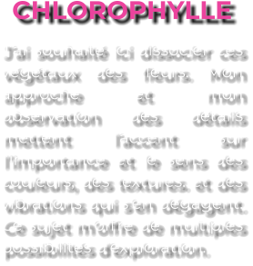 CHLOROPHYLLE J’ai souhaité ici dissocier ces végétaux des fleurs. Mon approche et mon observation des détails mettent l’accent sur l’importance et le sens des couleurs, des textures. et des vibrations qui s’en dégagent. Ce sujet m’offre de multiples possibilités d’exploration.