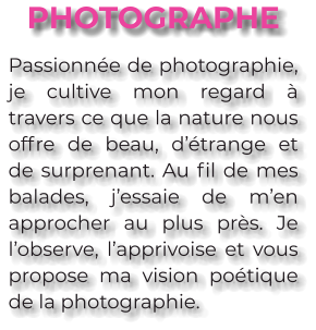 PHOTOGRAPHE Passionnée de photographie, je cultive mon regard à travers ce que la nature nous offre de beau, d’étrange et de surprenant. Au fil de mes balades, j’essaie de m’en approcher au plus près. Je l’observe, l’apprivoise et vous propose ma vision poétique de la photographie.