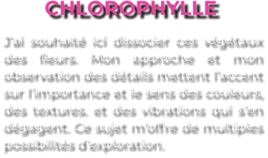 CHLOROPHYLLE J’ai souhaité ici dissocier ces végétaux des fleurs. Mon approche et mon observation des détails mettent l’accent sur l’importance et le sens des couleurs, des textures. et des vibrations qui s’en dégagent. Ce sujet m’offre de multiples possibilités d’exploration.