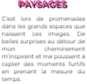 PAYSAGES C’est lors de promenades dans les grands espaces que naissent ces images. De belles surprises au détour de mon cheminement m’inspirent et me poussent à capter des moments furtifs en prenant la mesure du temps.